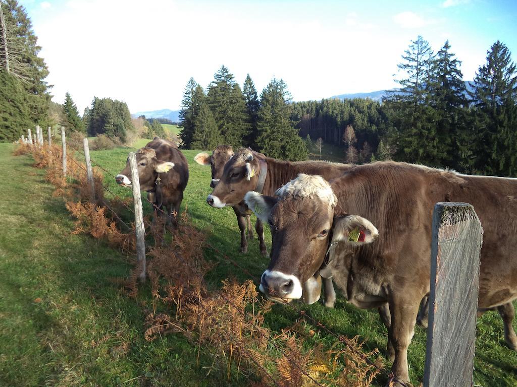 Haus Ritter Missen-Wilhams